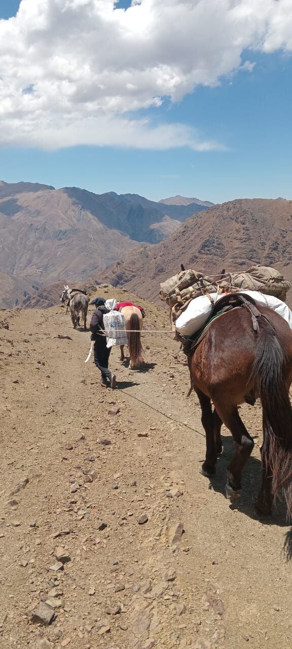 "Llevan una urna por paraje, y en cada uno votan entre 15 y 20 personas", resume el teniente coronel Miskow (Fotos: Gentileza Ejército Argentino)