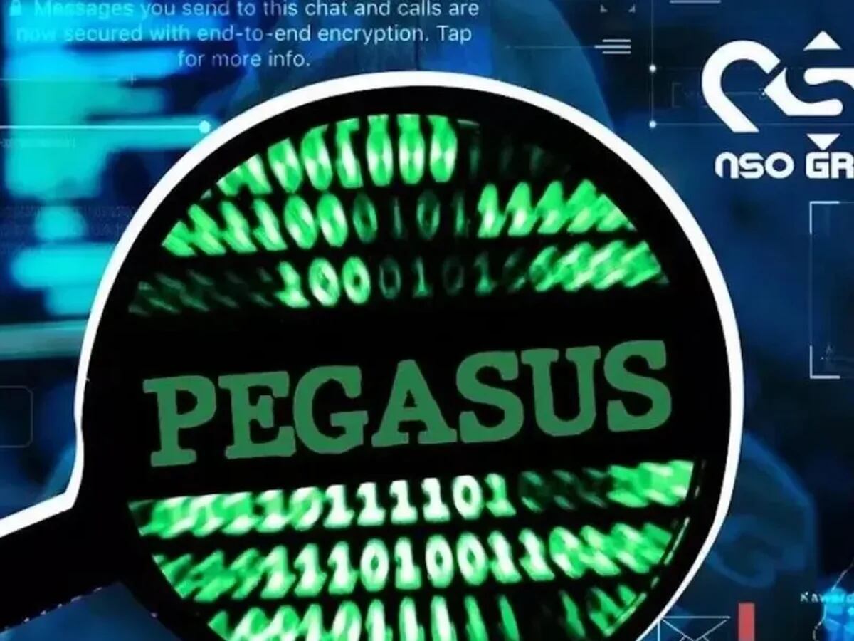 Pegasus, шпионская программа, которая взламывала журналистов, политиков и  знаменитостей - Infobae