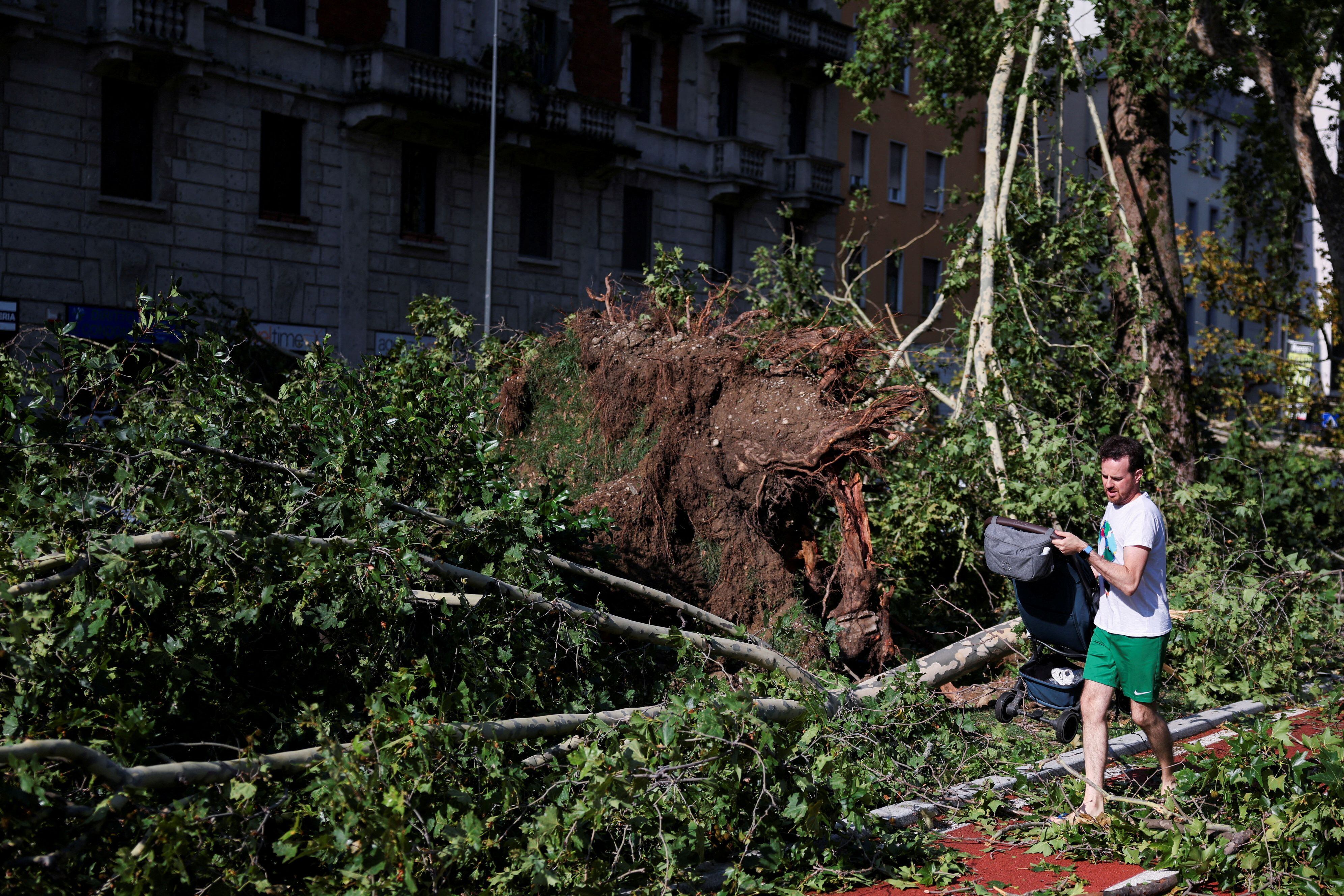 Un uomo spinge un passeggino oltre gli alberi caduti dopo un temporale (REUTERS/Claudia Greco)