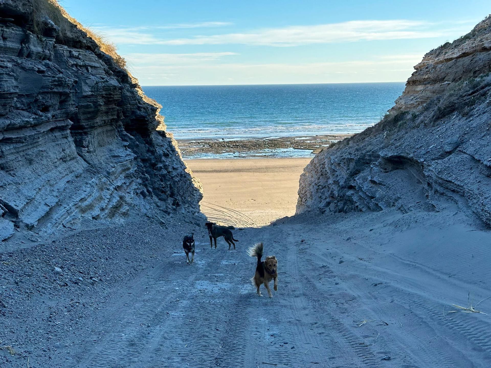 Las playas de Bahía Creek son impresionantemente amplias y están rodeadas por acantilados de hasta 30 metros de altura (@gui10road)