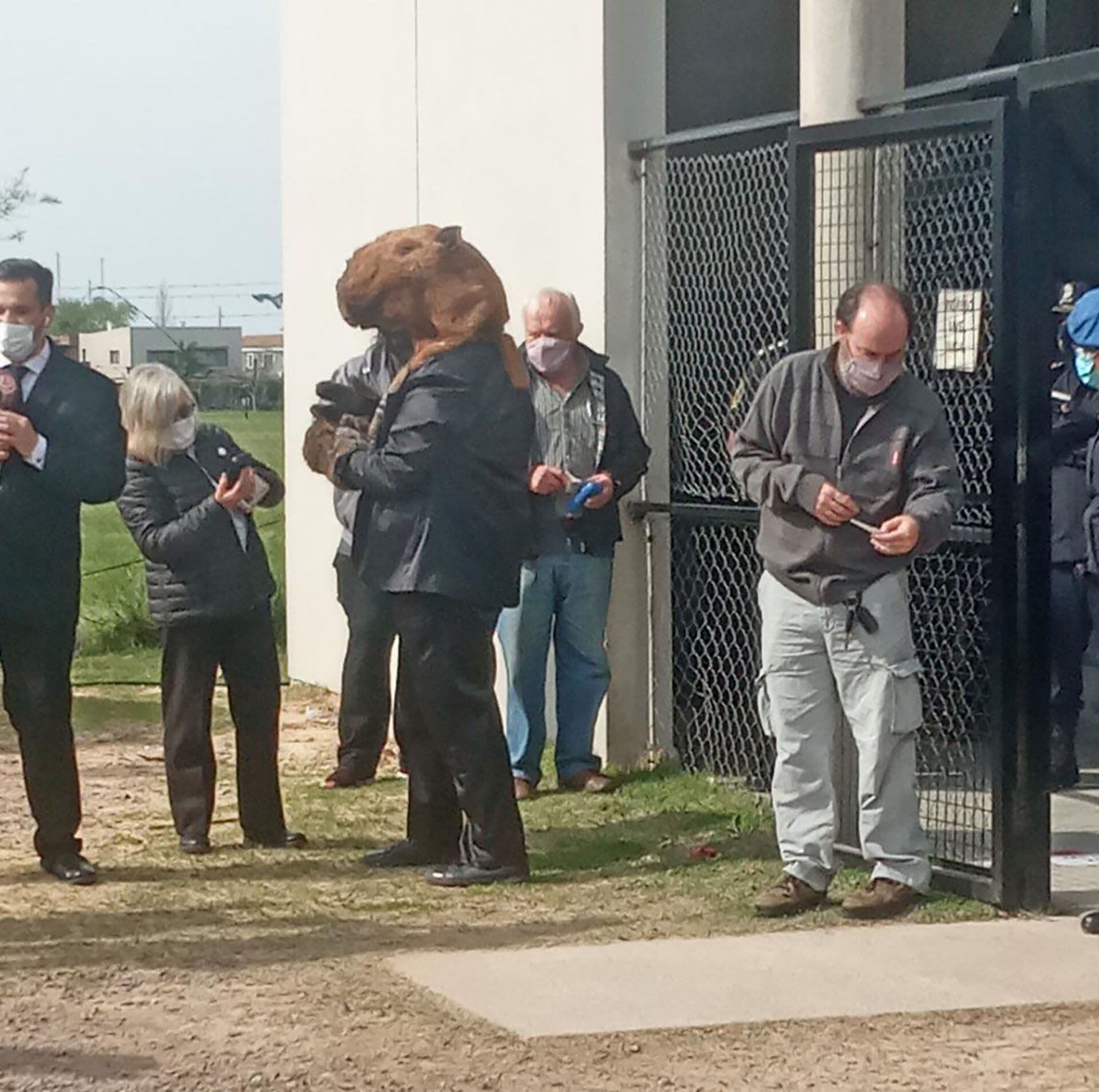 Un hombre fue a votar disfrazado de carpincho