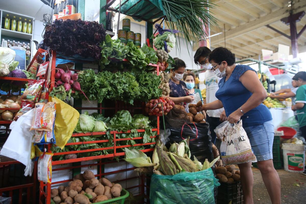 La FAO indicó que la inseguridad alimentaria es impulsada por factores como la pandemia, la crisis de los fertilizantes y la guerra en Ucrania. (Andina)