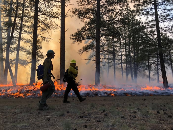 Con la quema prescripta, se baja el riesgo de incendios descontrolados y se cuida la vida de los brigadistas. Porque no se los expone a arriesgar su vida como ocurre con los incendios graves/
Mitch Maxson/The Nature Conservancy