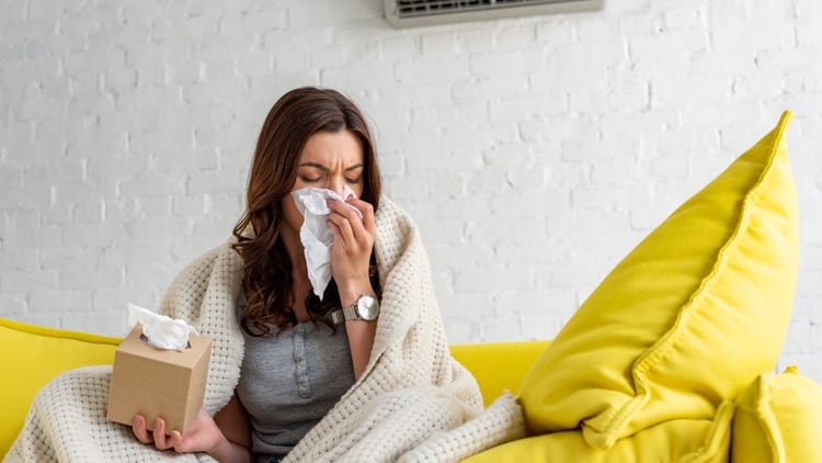 La calidad del aire circulante debe cumplir con requisitos para no dañar la salud (Shutterstock)