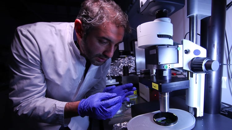 El órgano es escaneado por láseres en un microscopio que permite que los investigadores capturen la estructura completa, incluidos los vasos sanguíneos y cada célula en su ubicación específica (Foto: Reuters)