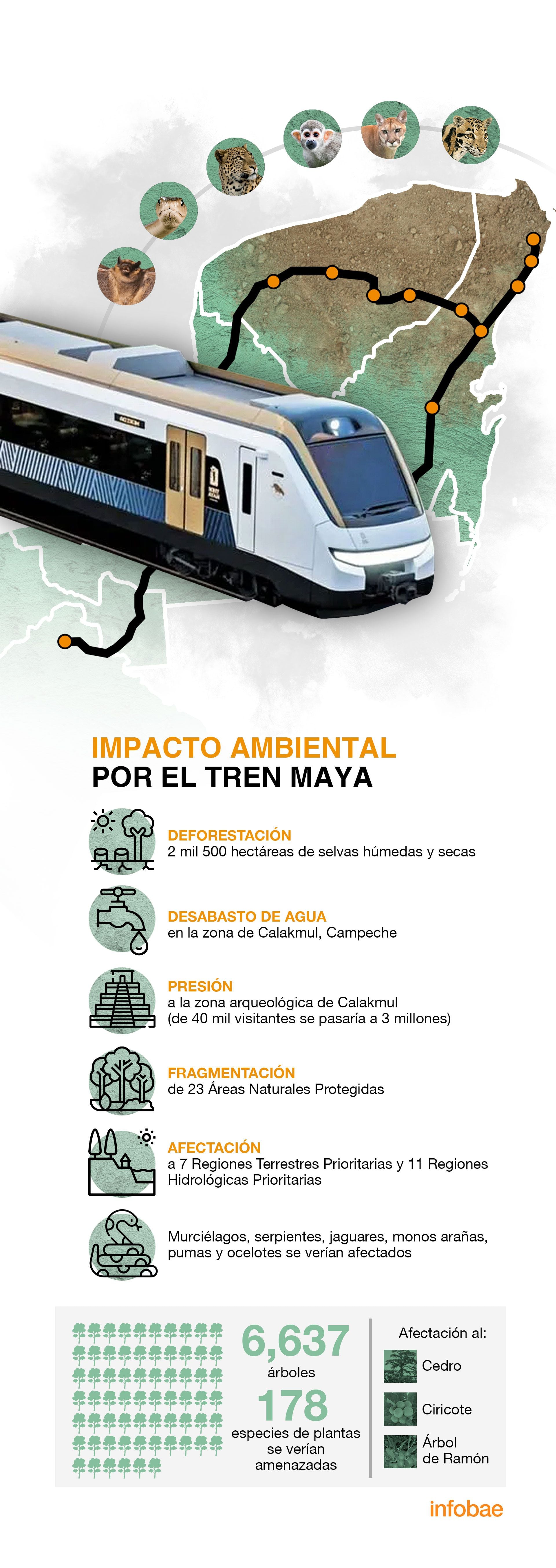 Las Reservas Estatales de Balam Kin y Balam Kú, en Campeche, así como el Parque Nacional de Palenque y las Áreas de Protección del Cañón del Usumacinta, en Chiapas, se verían afectadas por la construcción del Tren Maya (Infografía: Infobae México)