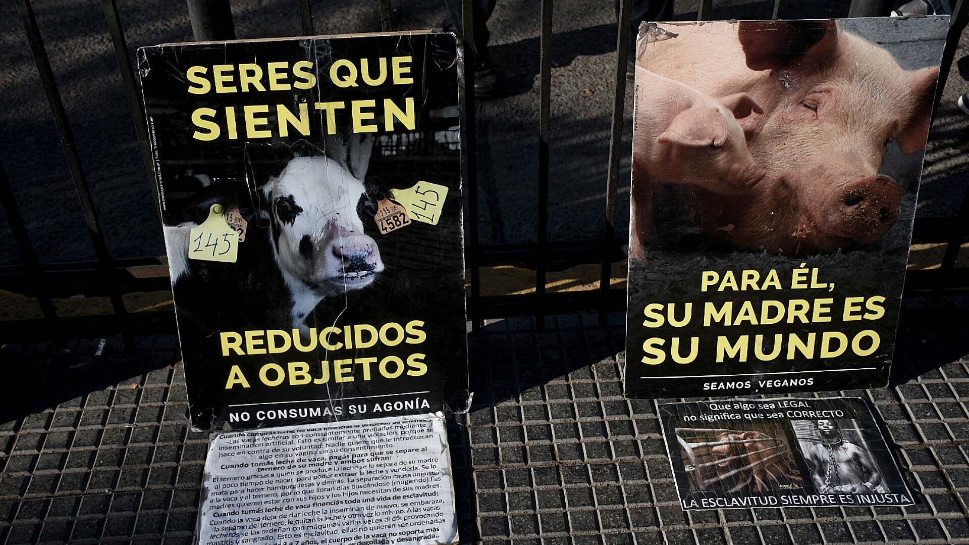 Los activistas de 2019 usaron el lema "Basta de matar animales"