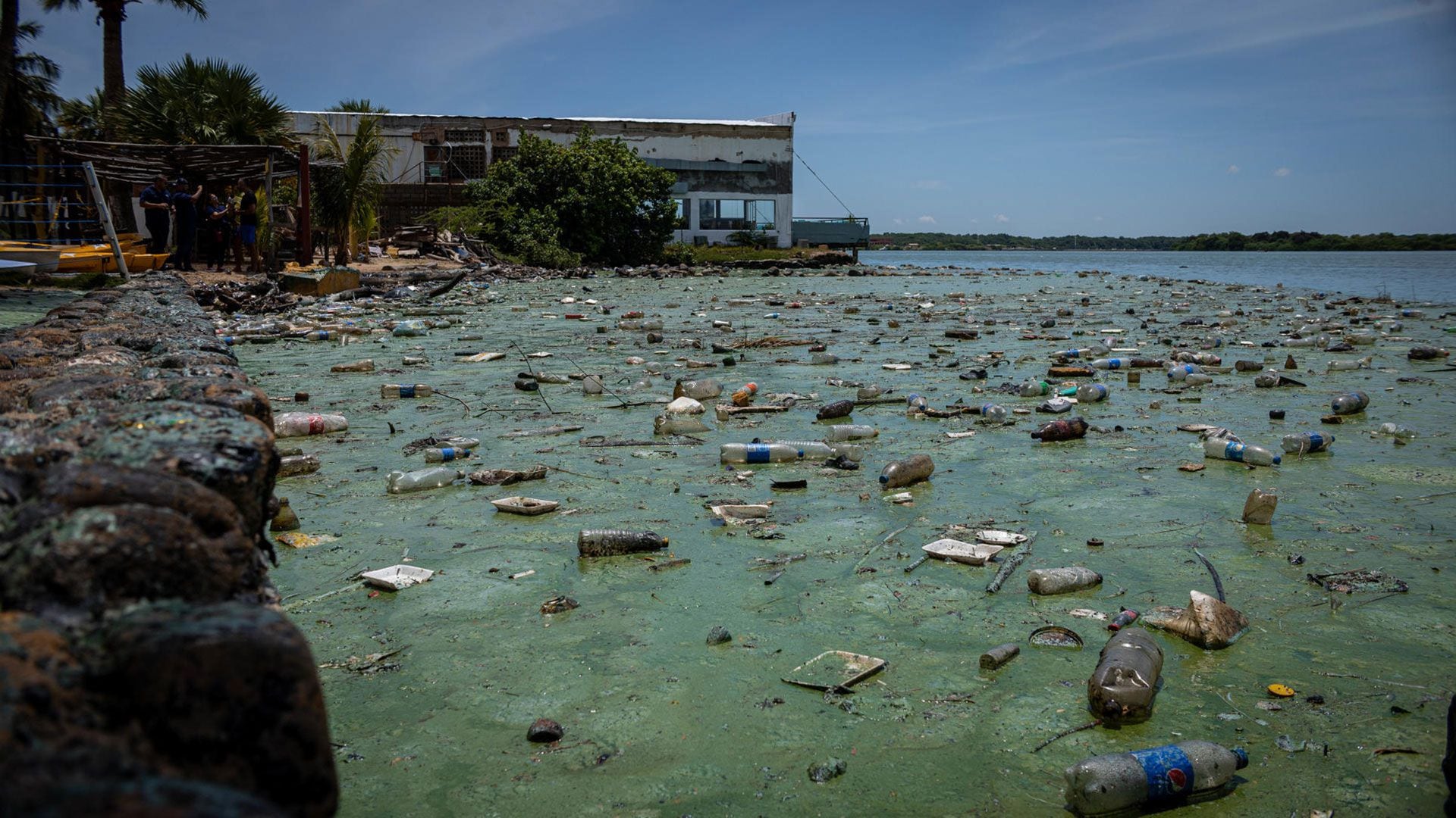 La contaminación pintó de verde el principal lago de Venezuela (EFE)