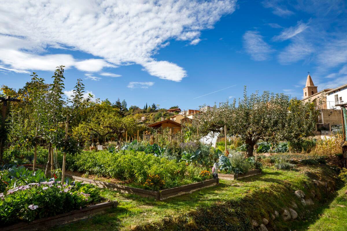 La huerta de Venta Montalvillo, en Daroca de Rioja