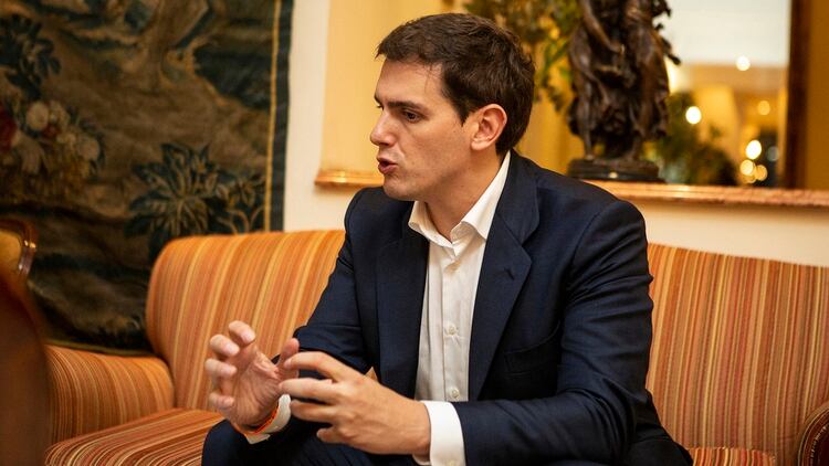 Albert Rivera, líder de Ciudadanos (Anabella Reggiani)