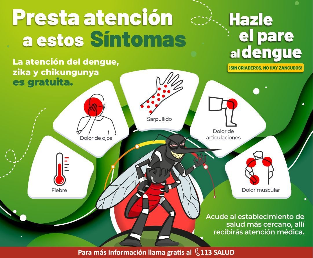 Dengue En Perú Recomendaciones Y Lo Que Debes Hacer Para Prevenir El Contagio Infobae 9425