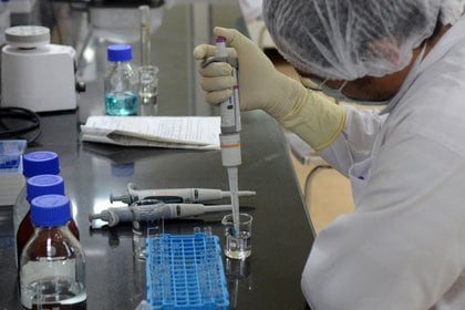 Un científico del Serum Institute of India está desarrollando una vacuna Govt-19 en Pune.  18 de mayo de 2020. REUTERS / Euan Rocha