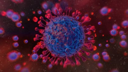 “El ARN viral es el equivalente al cadáver del virus” (Shutterstock)