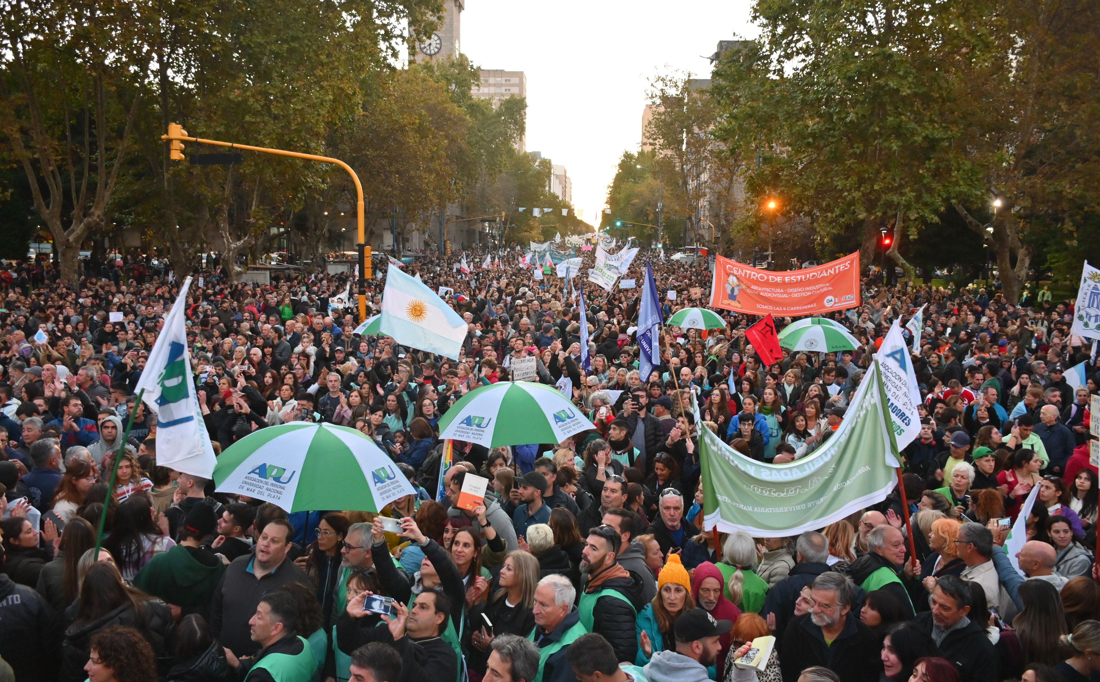 Marcha universitaria federal 23A - Mar del plata