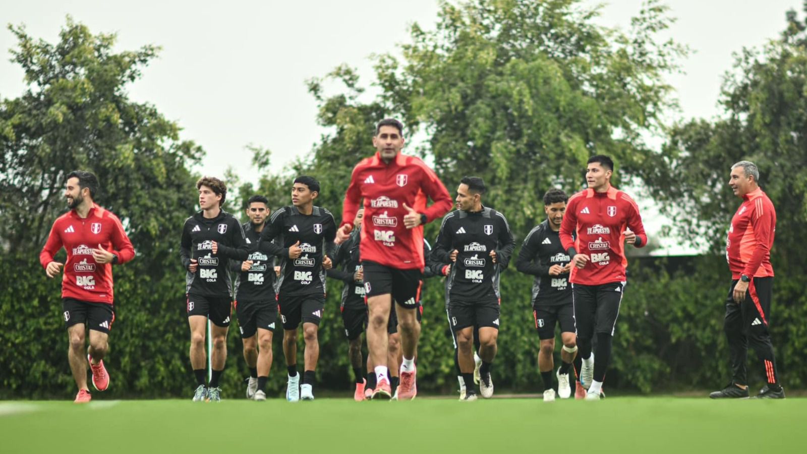 Sebastián Avellino no formará parte de la delegación de la selección peruana que viajará a Brasil por fecha 10 de Eliminatorias Sudamericanas (FPF).