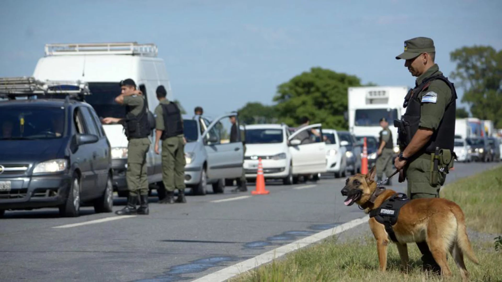 Gendarmeria busca prófugos con perros rastreadores (Télam)