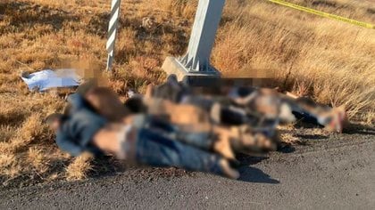 Balacera de 3 días entre Zetas y CG, deja 46 muertos en Zacatecas. SZKGYEA6FJF7ZPZHBF7XU3QWEA