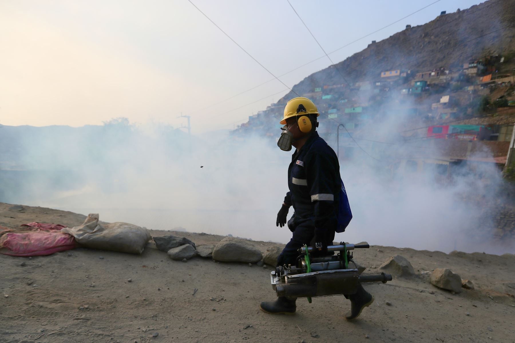 Las viviendas deben ser fumigadas tres veces.