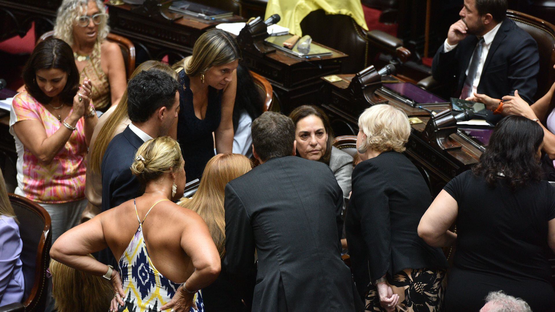 Debate de la Ley Ómnibus en el Congreso interior recinto portada