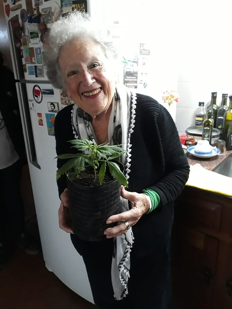 Nora Cortiñas, en su casa, con una de sus plantas de cannabis