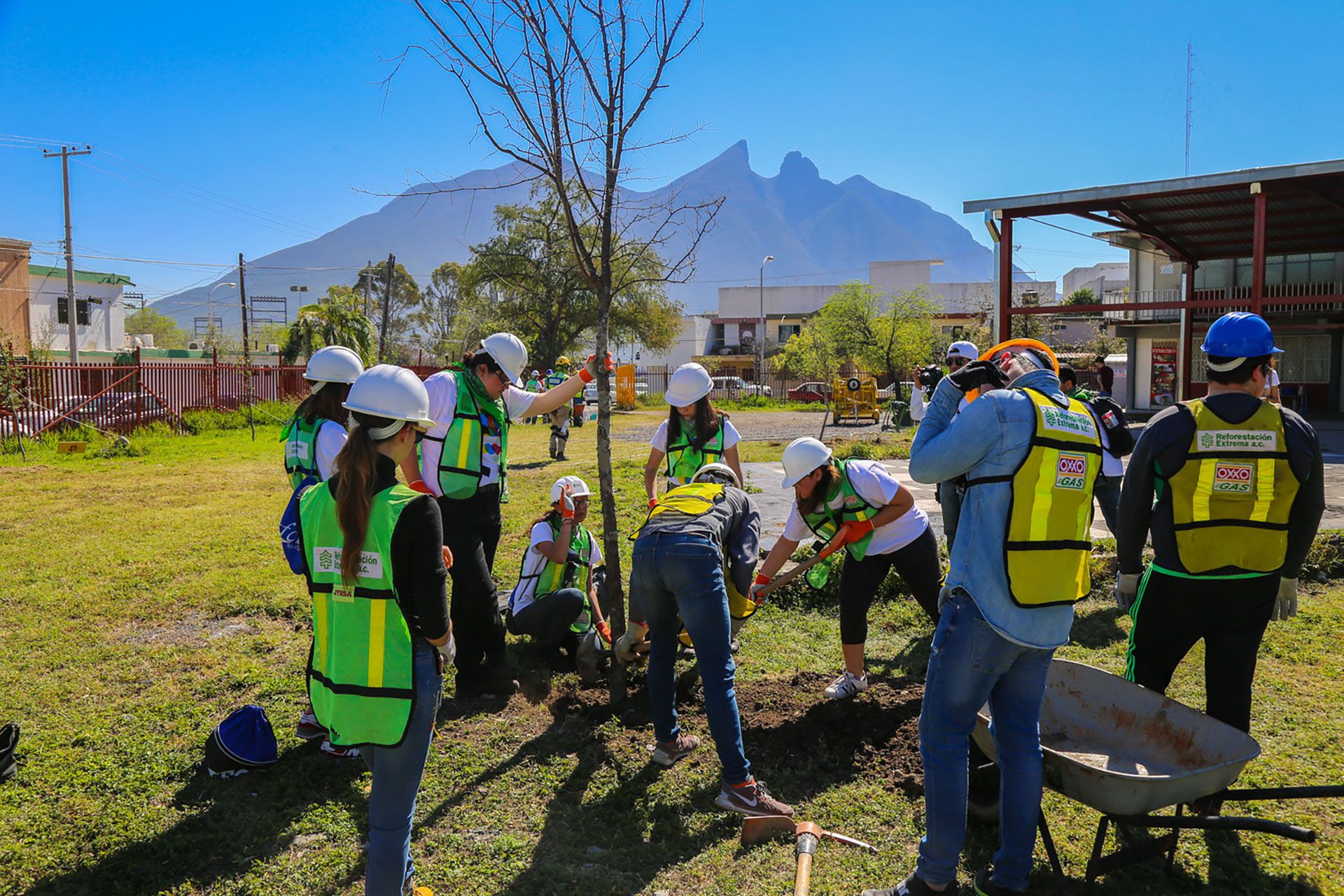 El proyecto implica la reforestación de la zona