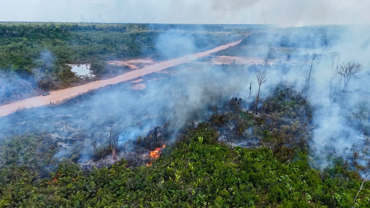 Alerta máxima en 30 ciudades del sureste de Brasil por los incendios forestales