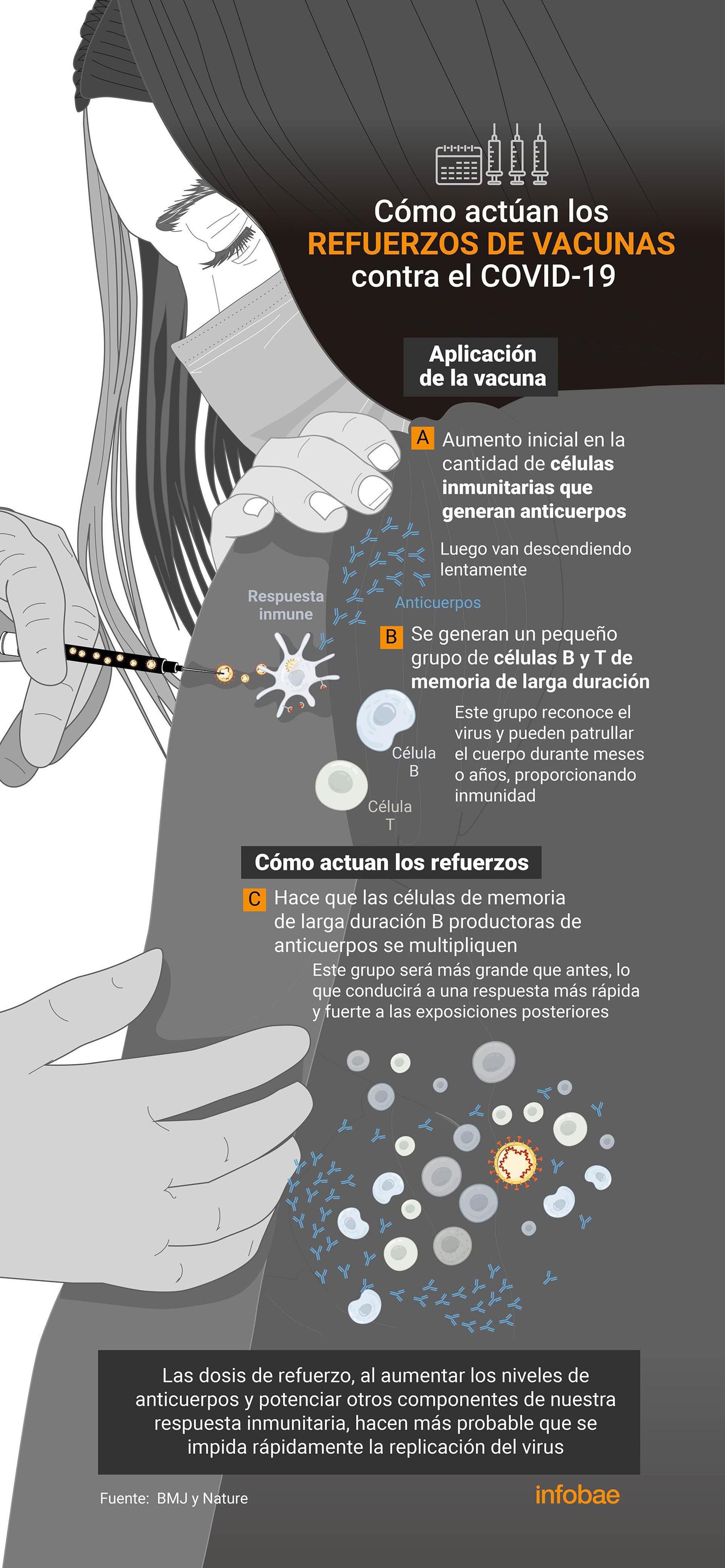 infografia