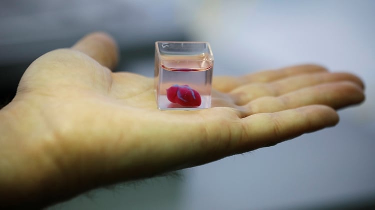 El primer corazón impreso en 3D (Reuters)