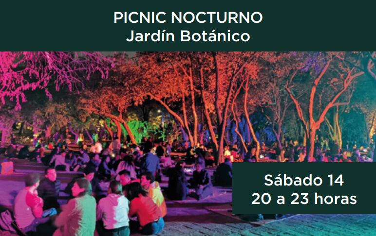 El Picnic Nocturno en el Bosque de Chapultepec regresará este mes de octubre para deleitar a los amantes del aire libre y la naturaleza.