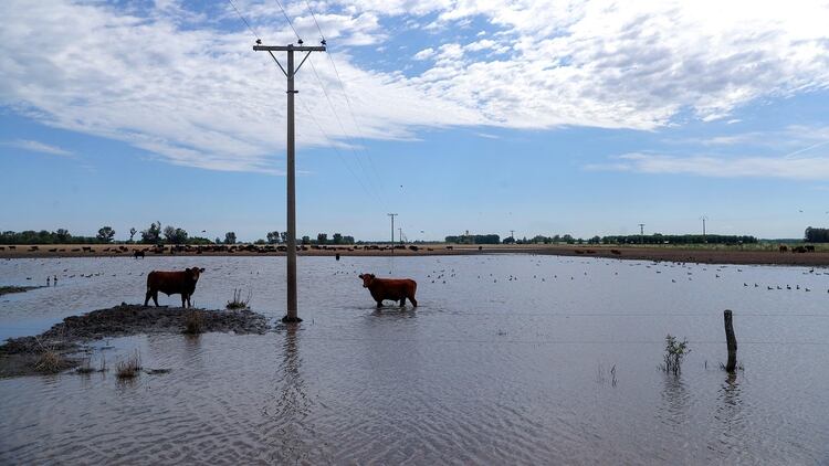 En enero, 1.700.000 hectáreas se vieron afectadas por las inundaciones en Santa Fe (REUTERS/Marcos Brindicci)