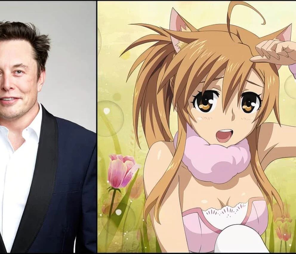 Elon Musk surpreende usando avatar de anime no Twitter - NerdBunker