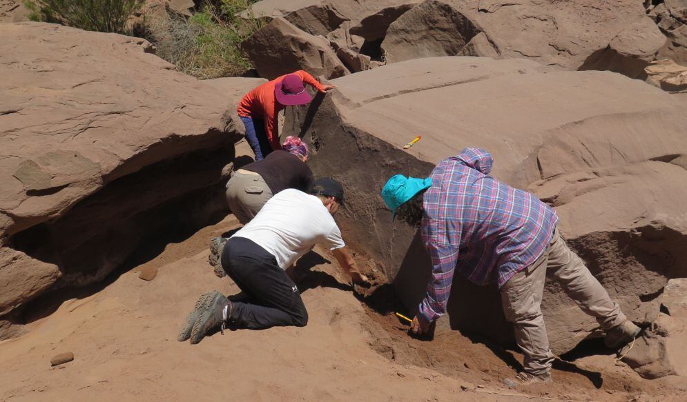 Through the use of three-dimensional modeling techniques and calculations of mass and body dimensions, while making comparisons between fossil bone remains and traces of modern animals.