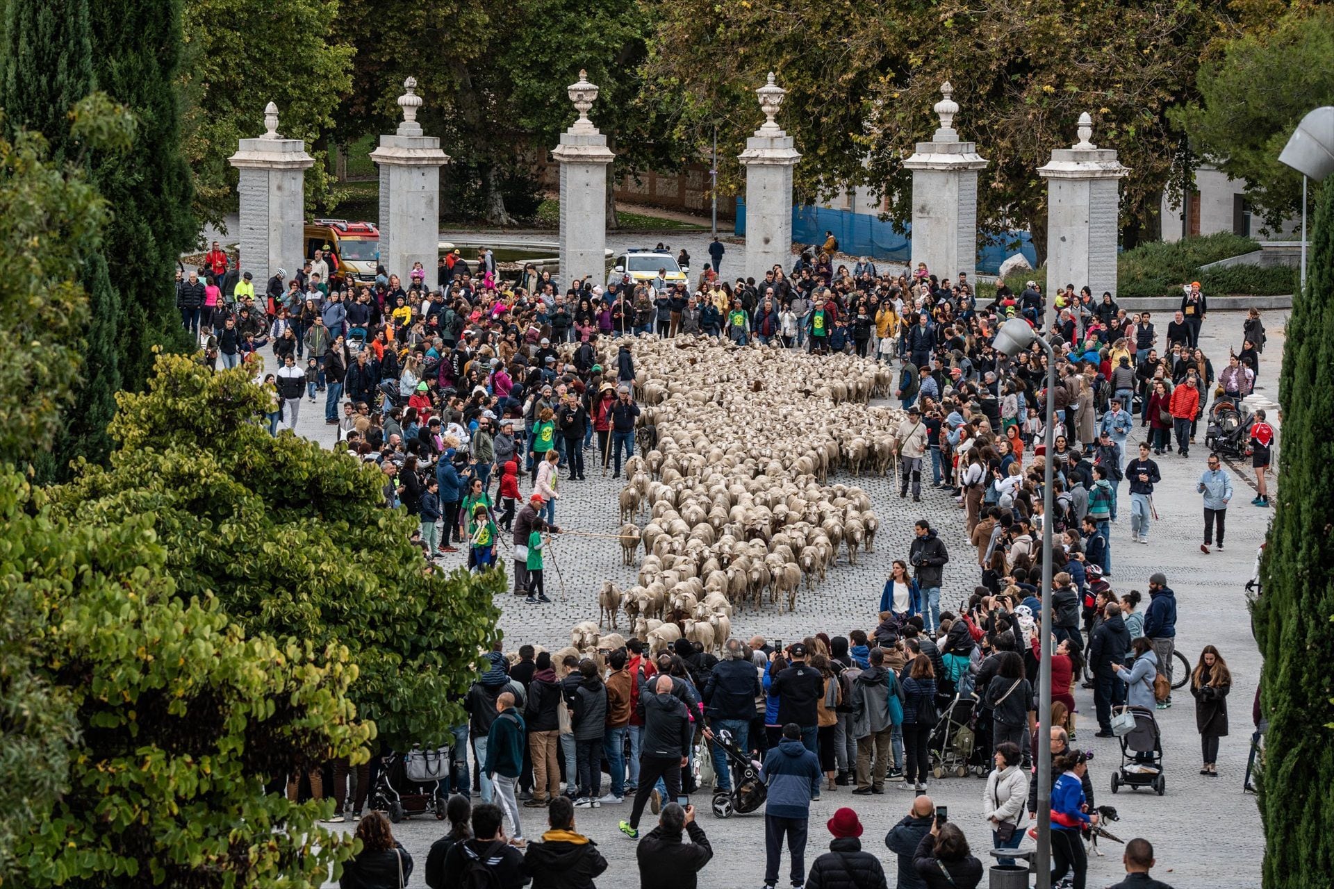 Llegada del rebaño a Madrid durante la Fiesta de la Trashumancia. (Matias Chiofalo / Europa Press) Matias Chiofalo / Europa Press
22 OCTUBRE 2023;TRASHUMANCIA;REBAÑO;OVEJAS;CABRAS;TASHUMANTE
22/10/2023