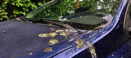Tener el coche sucio daña la pintura del coche - Automóviles Dumar