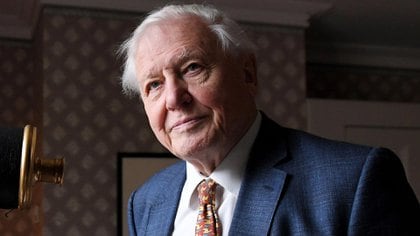 El divulgador naturalista británico Sir David Attenborough (Shutterstock)