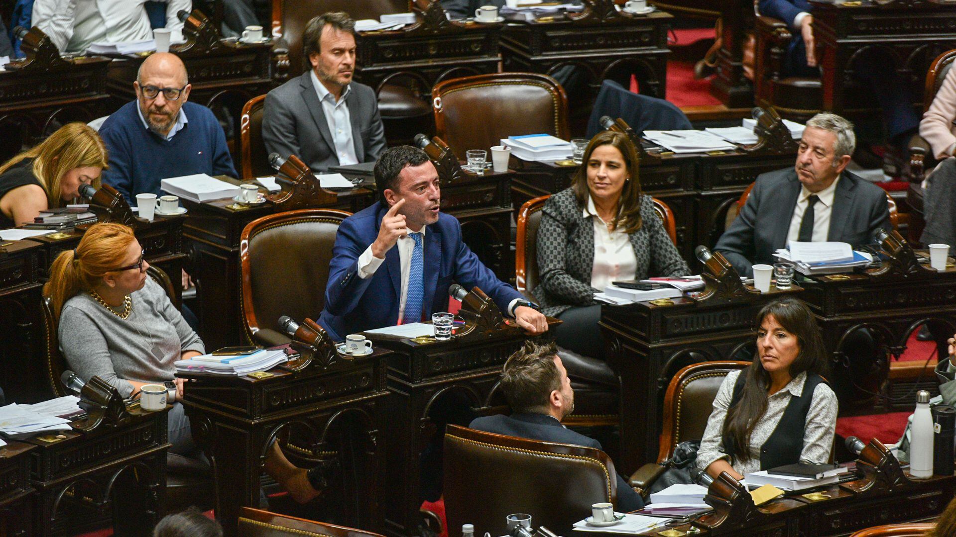 Ley Bases Cámara de Diputados