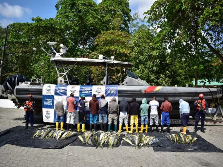 Más de 700 kilos de pesca ilegal fueron incautados por la Armada