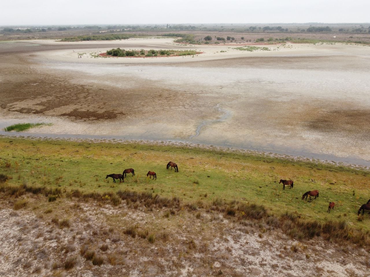 La Laguna Más Grande De Doñana Amanece Completamente Seca Infobae 4989