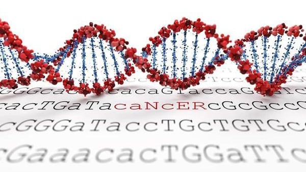 El cáncer de cabeza y cuello puede comprometer la cavidad nasal y la garganta, pero es más común en la boca, la laringe y la faringe