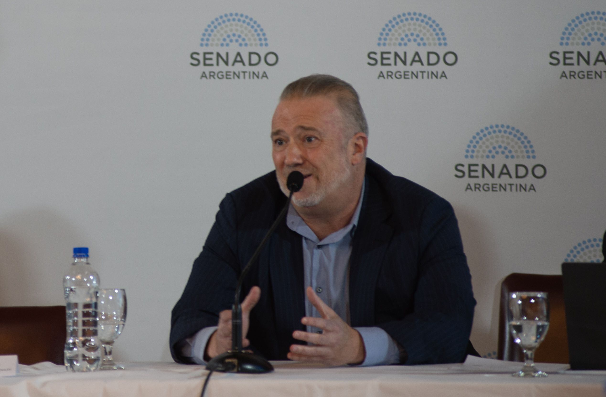 Ley bases en el senado - Plenario de comisiones - 14.05.2024