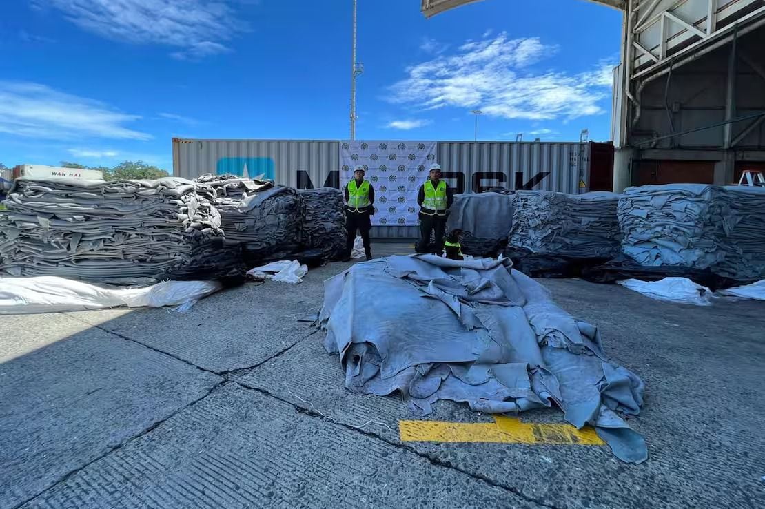 La Policía Nacional descubrió 962 kilos de clorhidrato de cocaína ocultos en cueros de vaca destinados a la exportación hacia Países Bajos - crédito Policía Nacional de Colombia