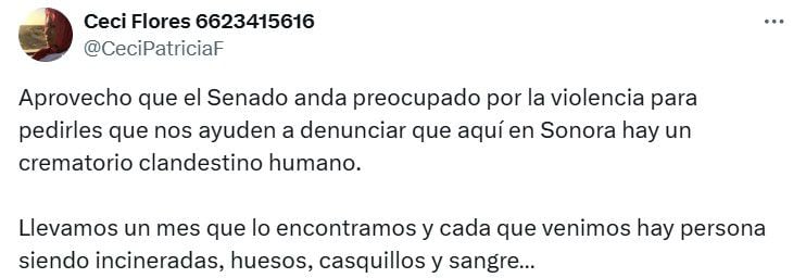 La madre buscadora pidió poner la misma atención a los problemas sociales que a los de los legisladores. (Ceci Flores)