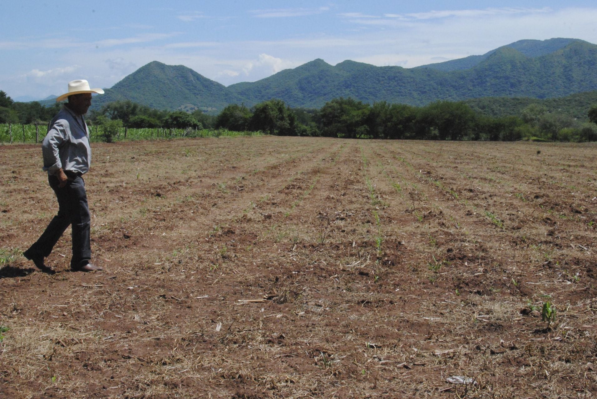 The drought in Mexico - 1904-2021