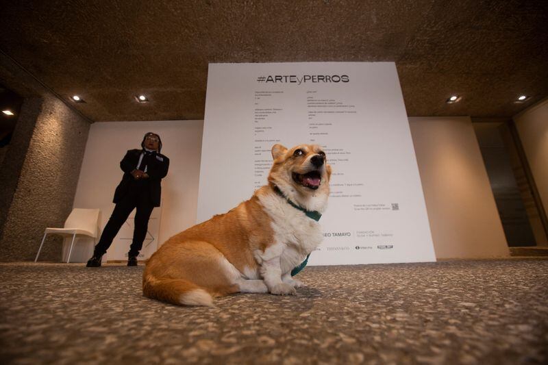 El Museo Tamayo aseguró que no planeaban repetir el performance. REUTERS/ Quetzalli Niche-Ha