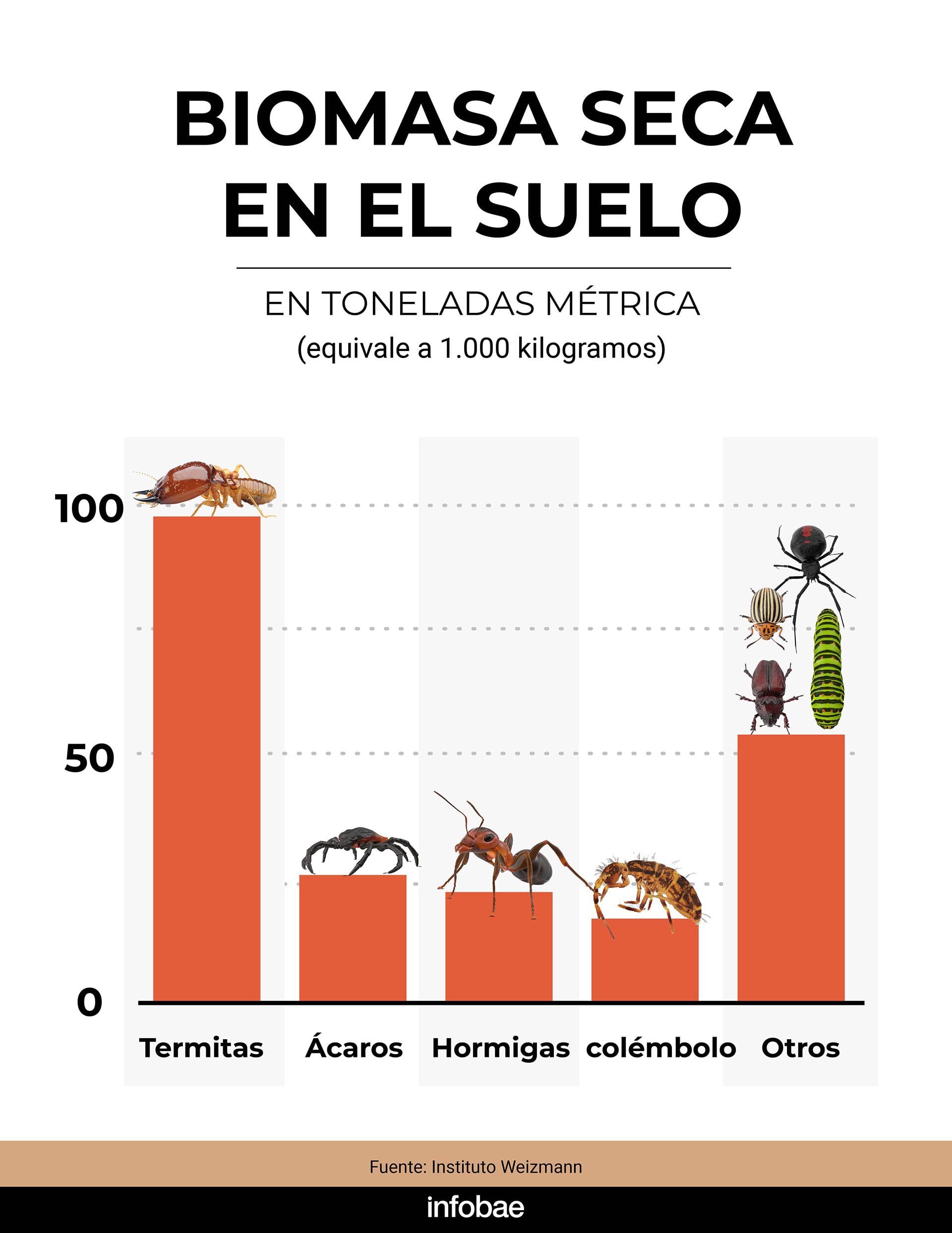 infografia