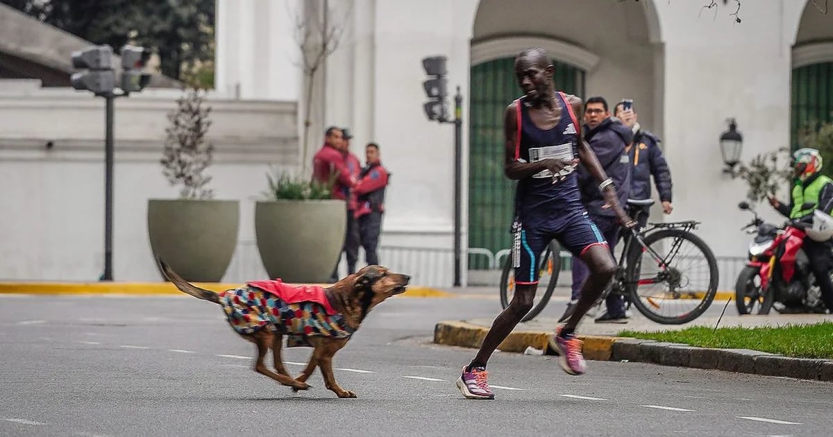 ‘Ho avuto davvero paura’: parla il corridore keniano aggredito da un cane alla Maratona di Buenos Aires