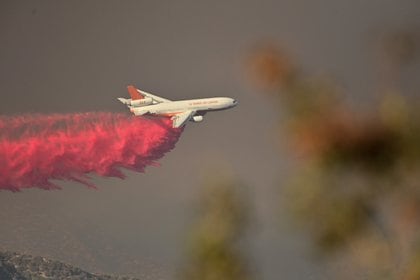 El llamado Apple Fire que estalló hace semanas cerca de la ciudad de San Bernardino ha carbonizado decenas de miles de hectáreas de terreno, (AFP)