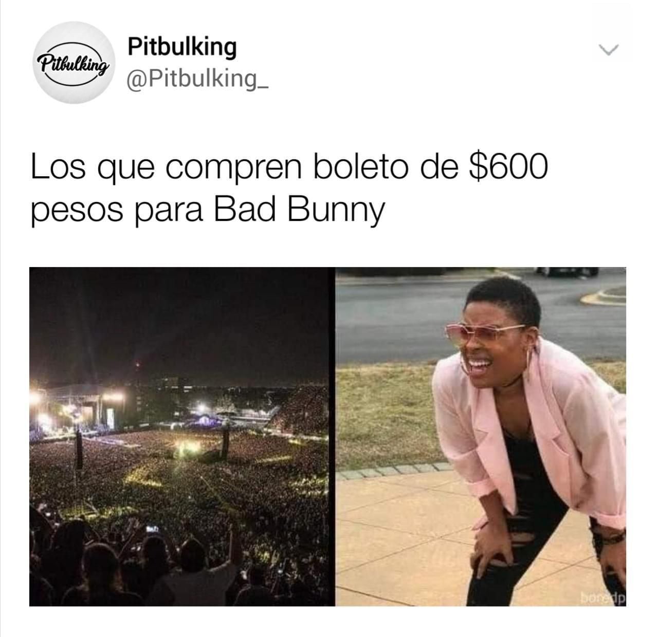 Los mejores memes que dejó Bad Bunny y la preventa de boletos para el  “World's Hottest Tour” - Infobae