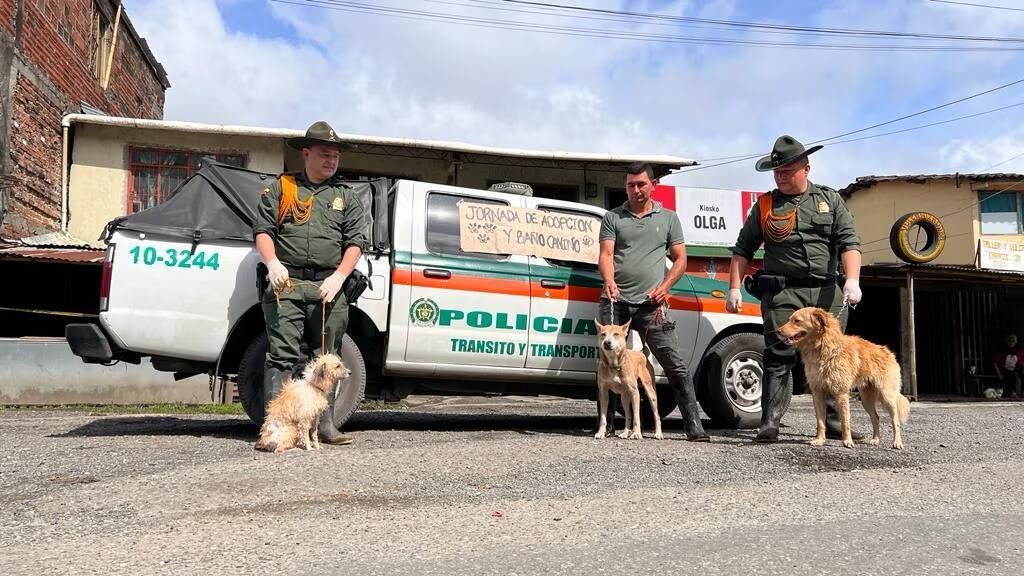 Mascotas Afectadas Por El Derrumbe En Rosas Cauca Son Puestas En Adopción Por La Policía Infobae 8327