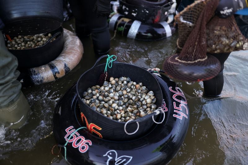 Berberechos y almejas en mallas y cubos antes ser pesadas en la ría de Noia, donde unas 4.000 mujeres realizan el marisqueo a pie en las zonas intermareales de Galicia, España (REUTERS/Nacho Doce)